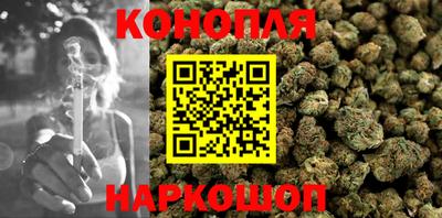 МДПВ Бийск