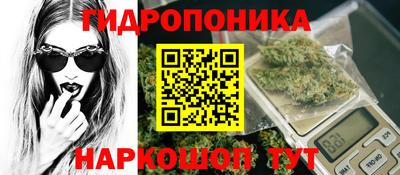 apvp Беслан