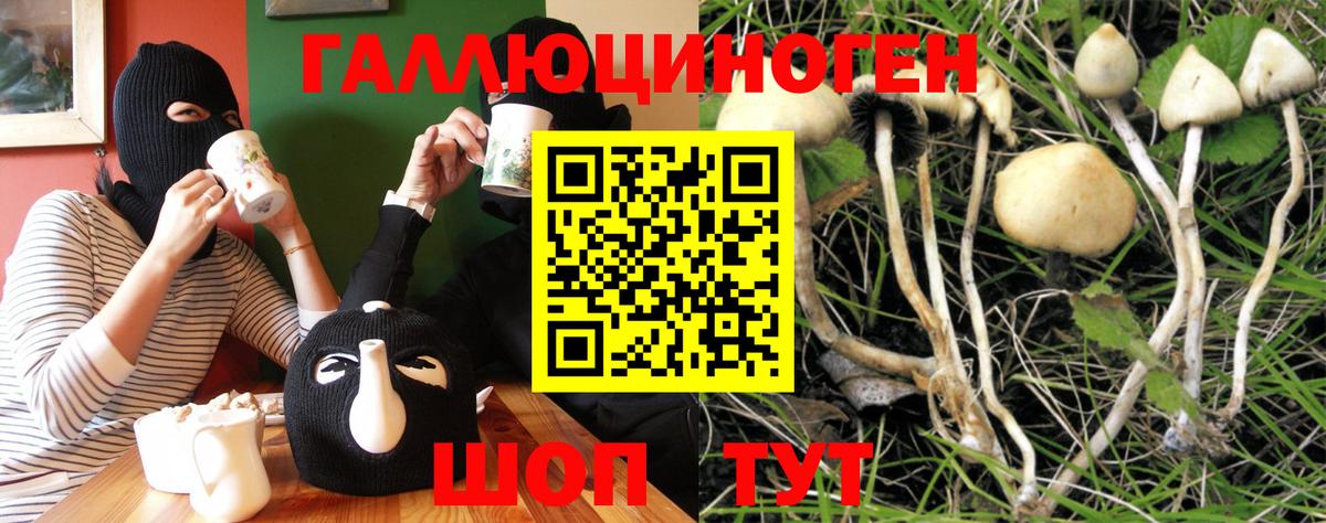 Кинель  цена наркотик  Вход с VPN  Псилоцибиновые грибы Magic Shrooms 